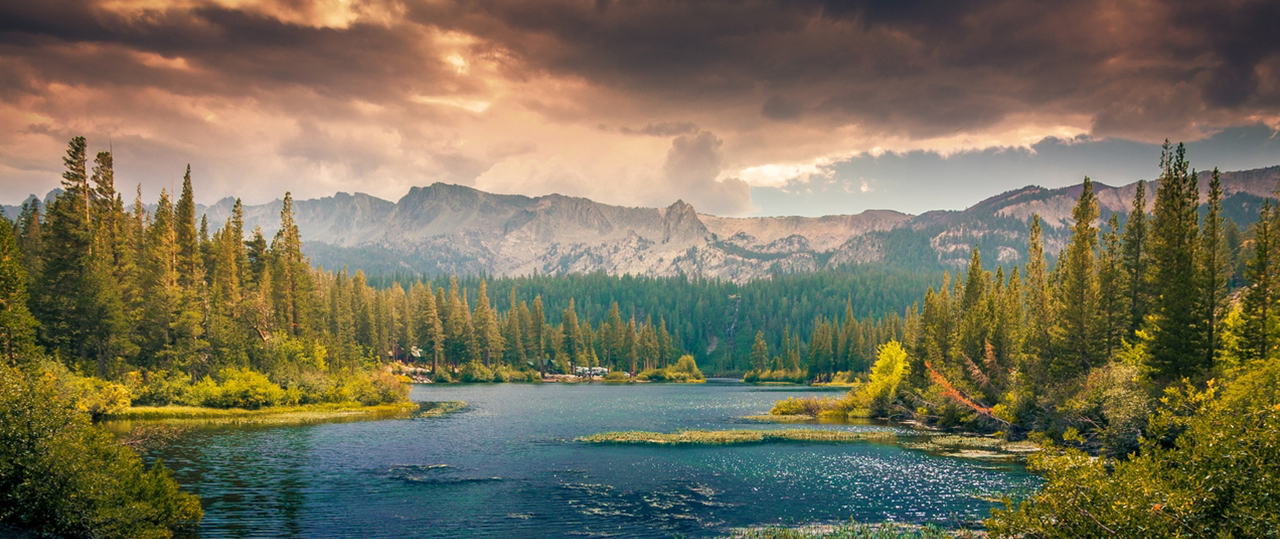 免费ddos在线攻击