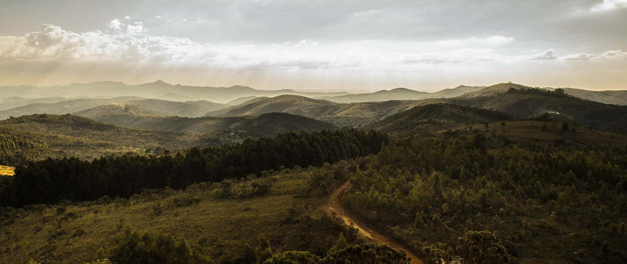 企业数字化转型的网页攻击软件