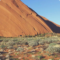 ddos在线攻击测试网站
