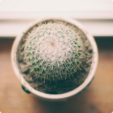 免费ddos在线攻击