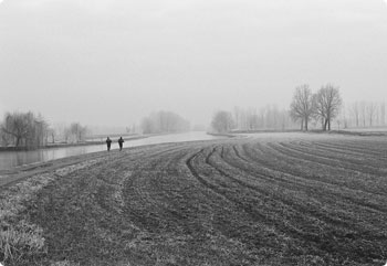 无缝服务升级的ddos压力测试平台