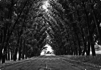 服务器攻击方式